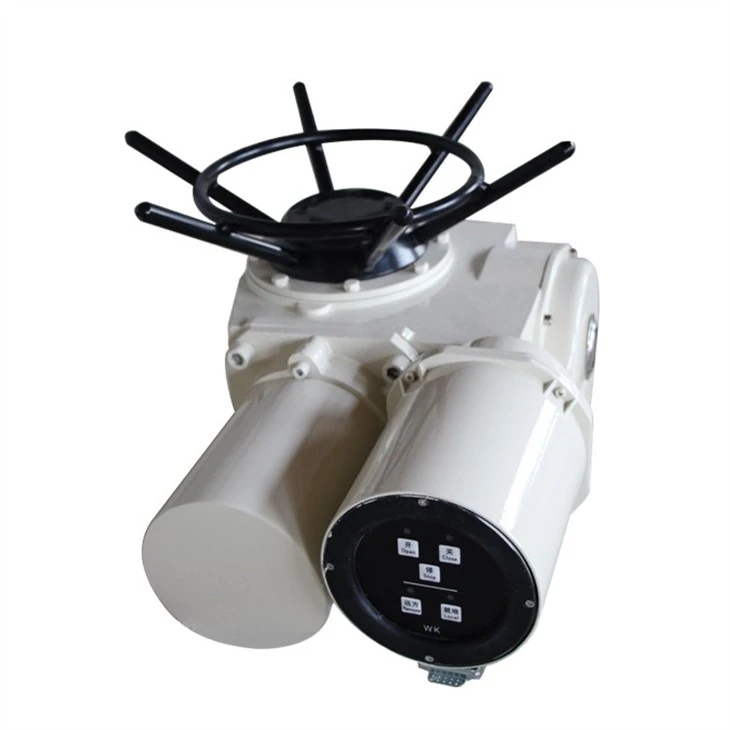 ACTUATOR DZW 180-24-A00-WK FOR LP STEAM