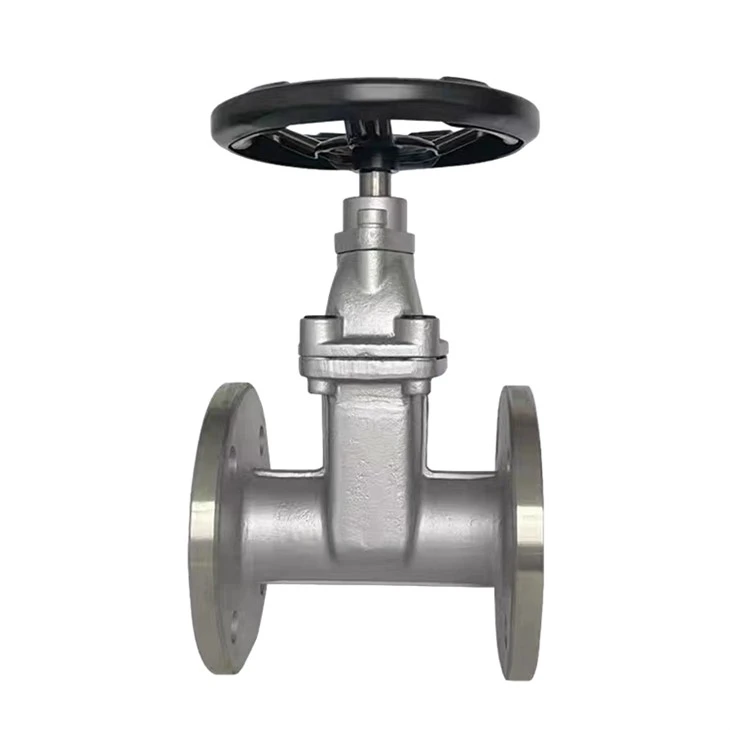 Stainless Steel 316L Soft Seal Gate Valve